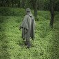 M-Tac Poncho Palapinsiaustė, Olive spalvos M-Tac Poncho Palapinsiaustė, Olive spalvos